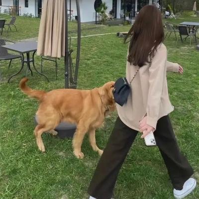 三位一体核试验之后